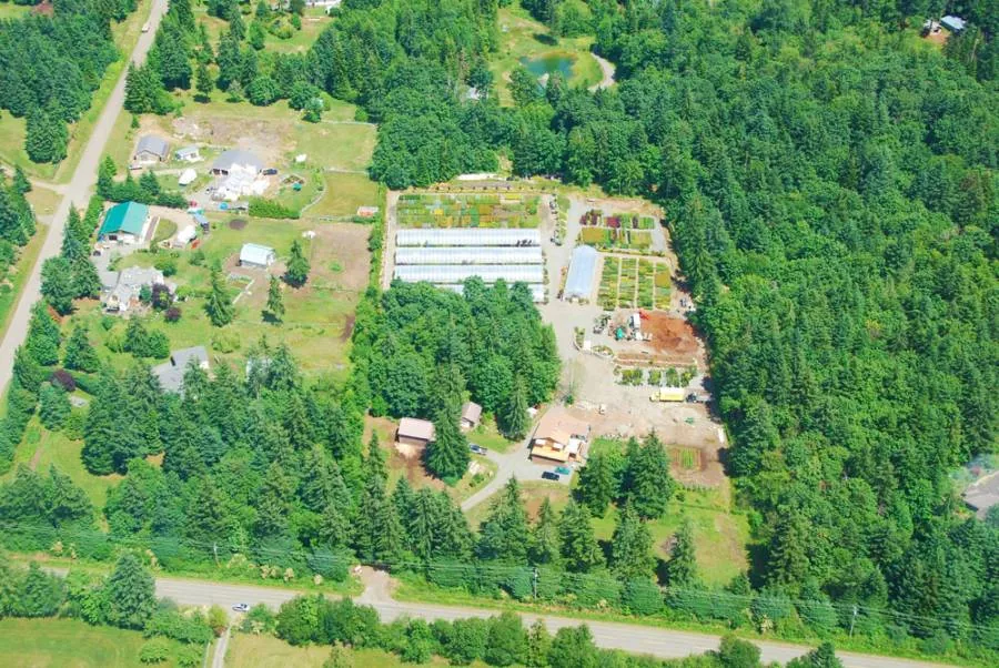 Outback Nursery seen from the air: greenhouses and growing fields in a clearing surrounded by forest