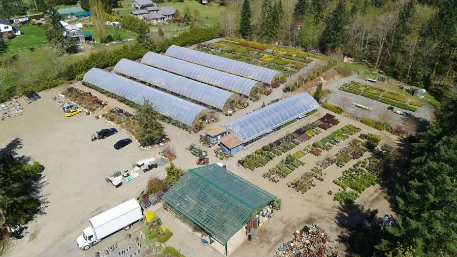 The nursery from the air: rows of greenhouses, the yard and the growing beds